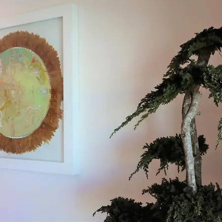 Rocha Prime - Bedzy Lux Portimão